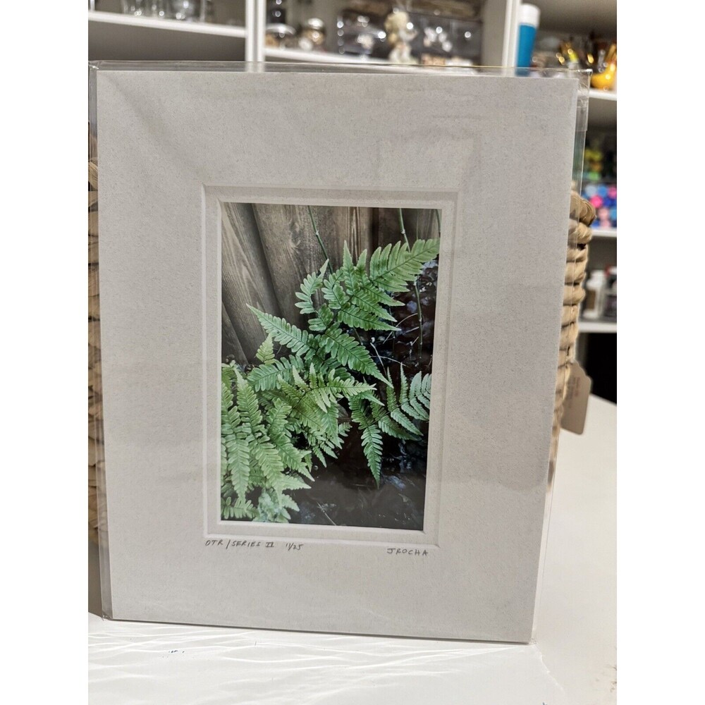 Original Photography 5X7 Picture Double Matted For 8X10 Frame